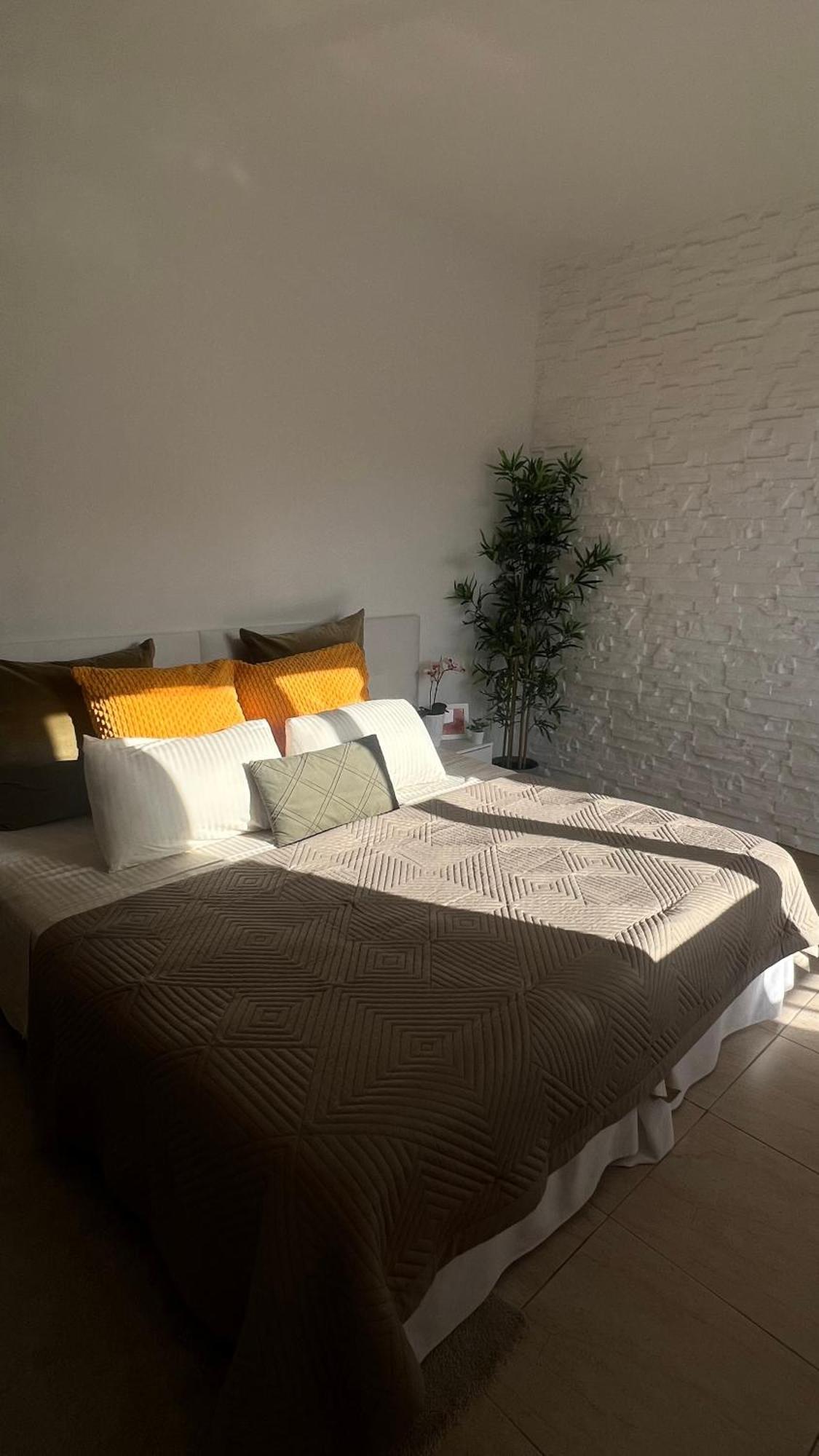 Tenerife Te Espera! Daire Icod De Los Vinos Dış mekan fotoğraf
